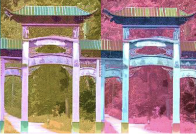 CIRED Summer School – cropped